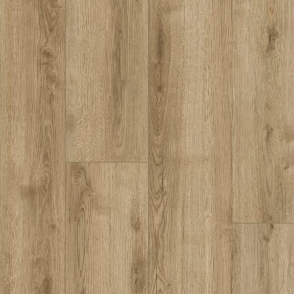 Tarkett Laminatgulv woodstock Soundlogic Jura Oak Gold
